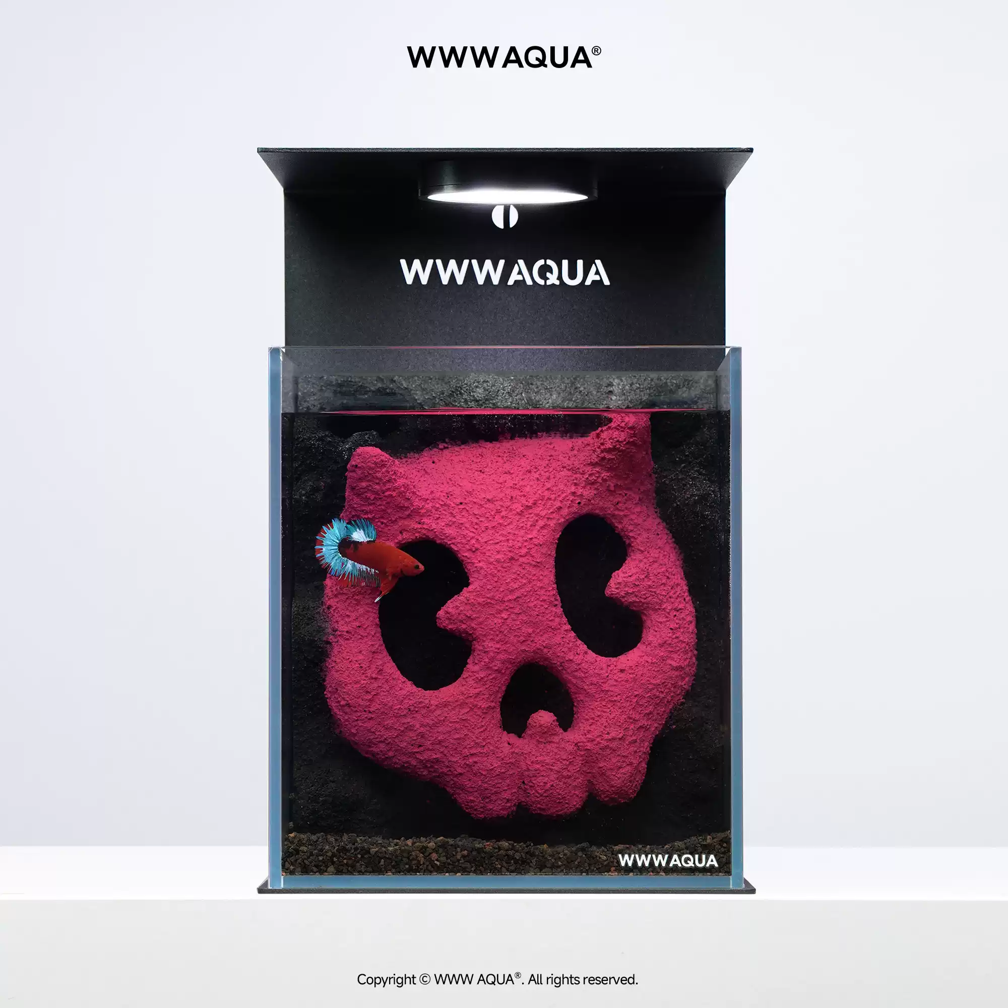 Home Improvement Stores - Universe Grocery Store Quirky Series BONBOBO
